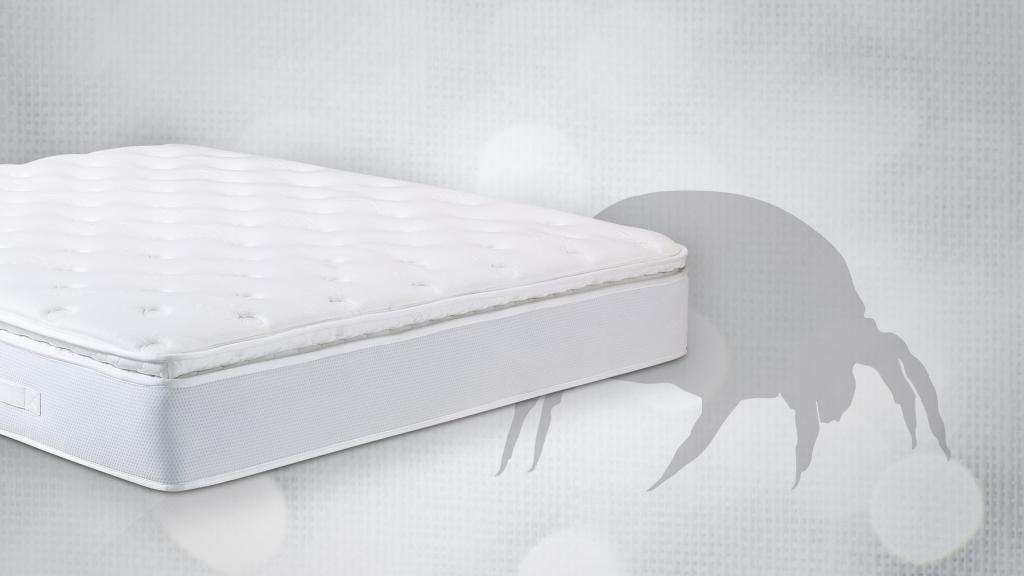 best kind of mattress for people with allergies