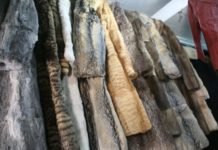 ban fur sales