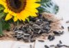 benefits of sunflower seeds