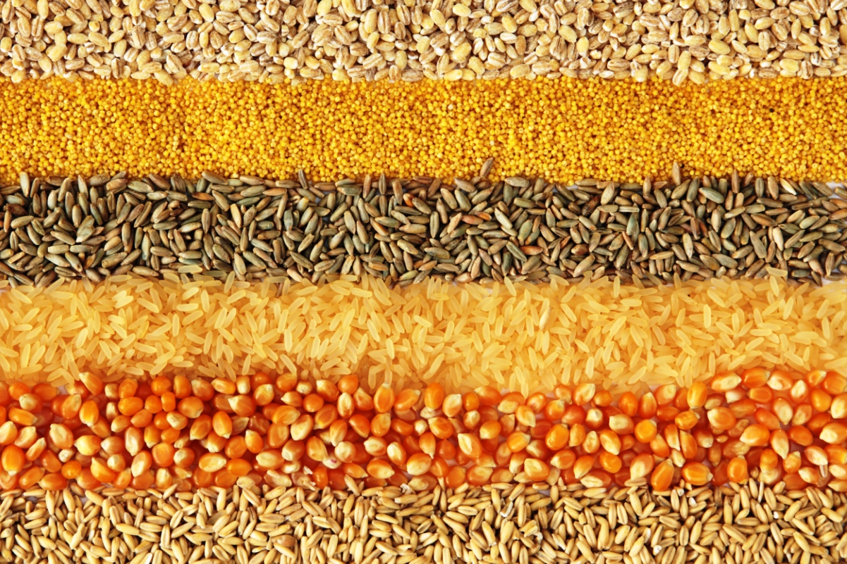 9 GlutenFree Whole Grain Foods Add These Foods To Your Diet Chart