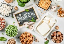 Plant Based Protein Sources