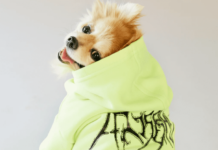 Designer Dog Clothes