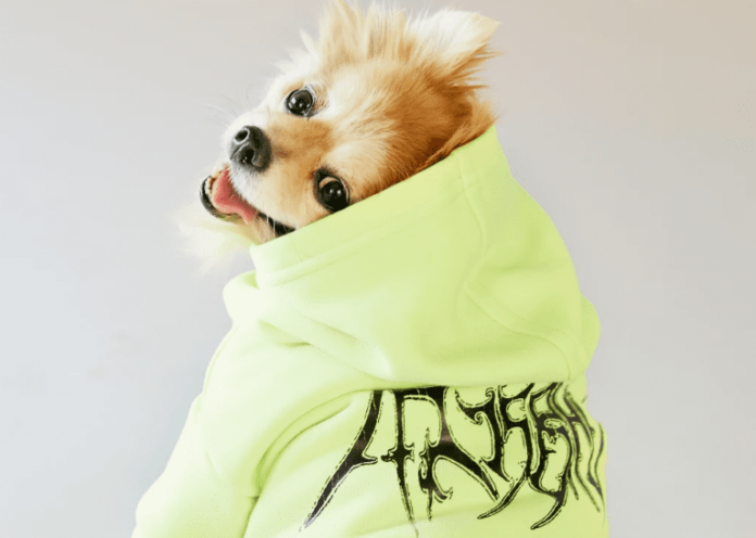 Designer Dog Clothes