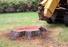 How to Hire a Stump Grinding Professional