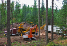 What is the cost of Stump Removal?