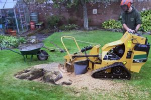 Professional Stump Grinding Prices