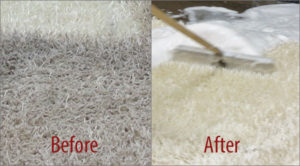 best carpet cleaning methods