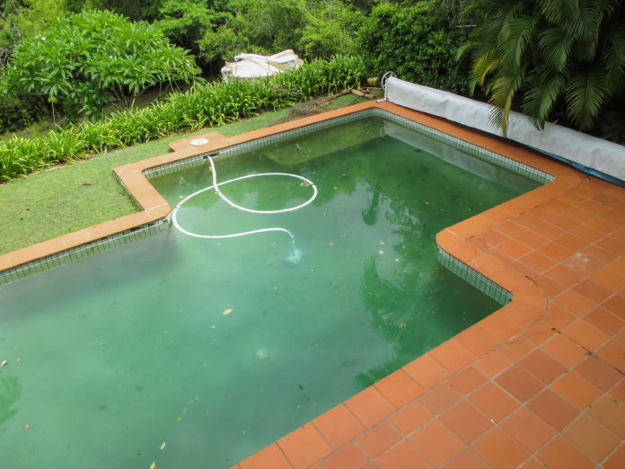 how to get rid of algae in pool