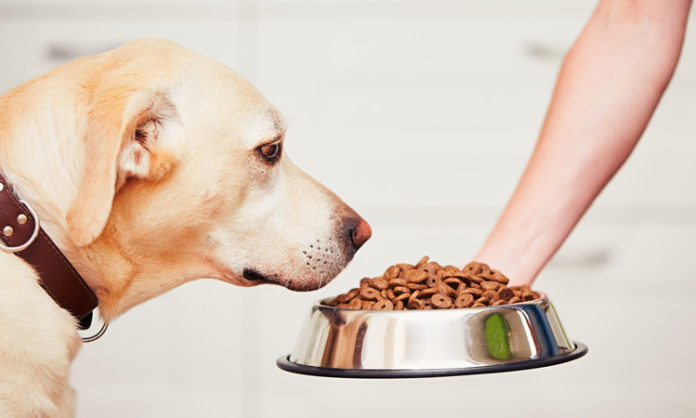 dog food supplements