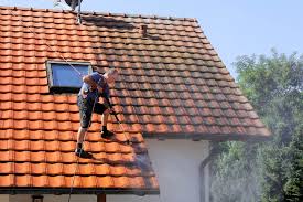 Causes Of Roof Stains:-