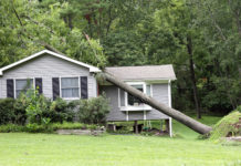 what to do if a tree falls on your house