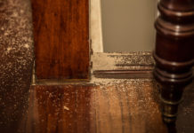 how to get rid of termites