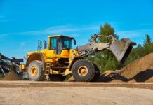 How Much Do Tree Services Cost in Akron, Ohio?