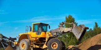 How Much Do Tree Services Cost in Akron, Ohio?