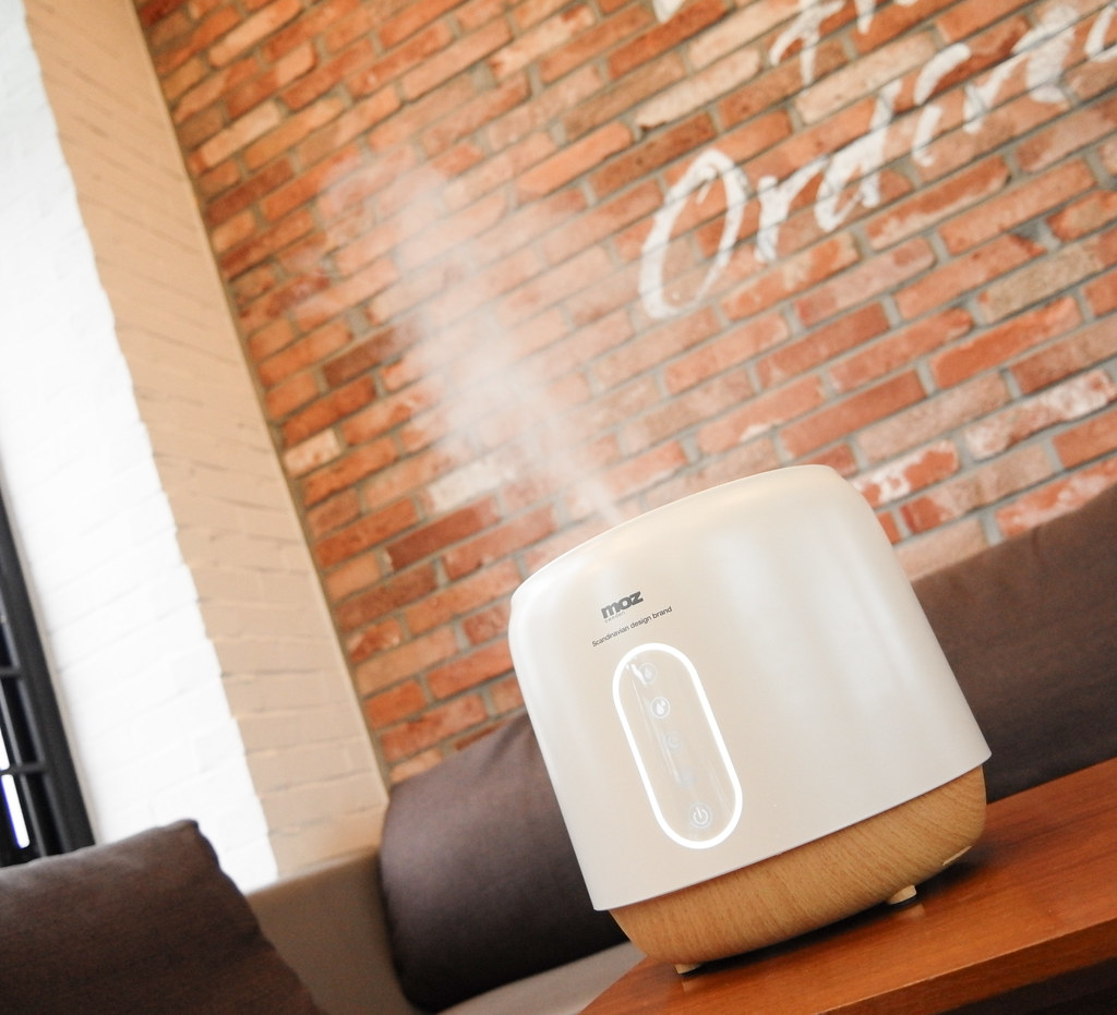 How to Clean Honeywell Humidifier A Best Fashion