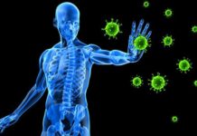 How to keep your immune System Healthy