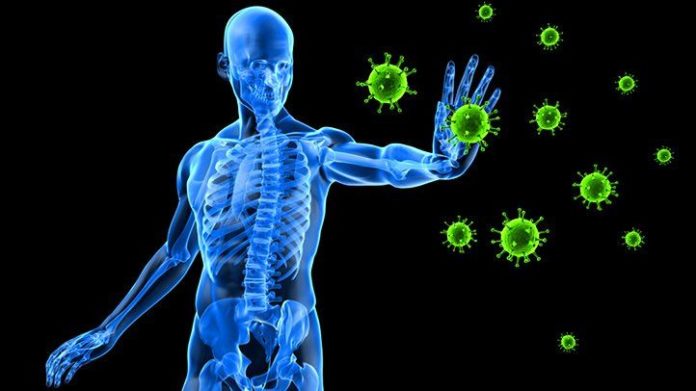 How to keep your immune System Healthy