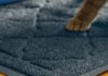 How to Choose the Right Cat Litter Mat
