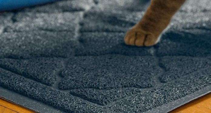 How to Choose the Right Cat Litter Mat