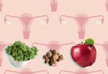Fertility diet