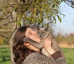 professional cat sitter