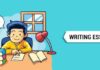 writing an essay