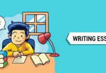 writing an essay