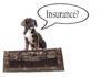 embrace pet insurance