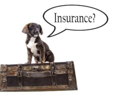embrace pet insurance