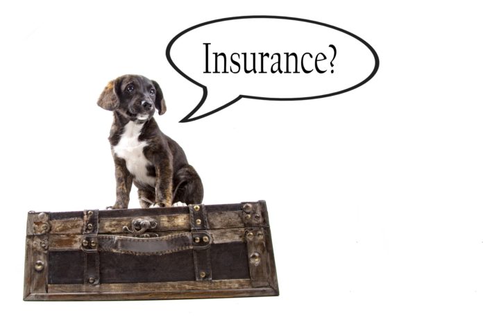 embrace pet insurance