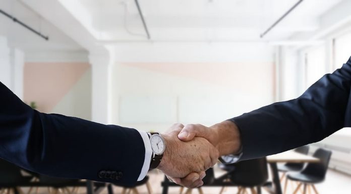 Nonprofit Executive Search