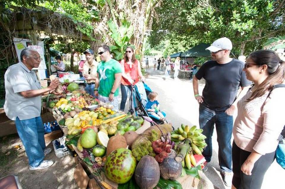 All About Fruit & Spice Park History, What To Do, How To Visit, And
