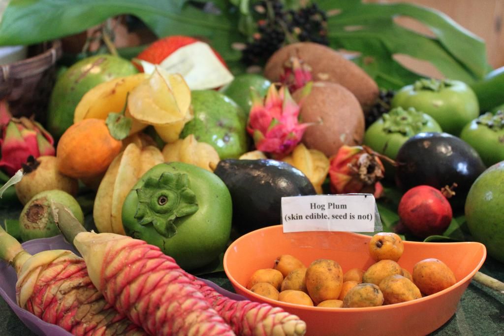 make a trip to fruit & spice park