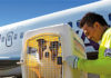 pet transport