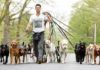 dog training