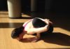 why flexibility is important