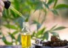 CBD Oil