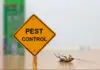 pest control
