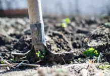 types of shovels
