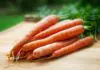 carrot sprouts