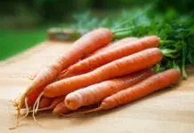carrot sprouts