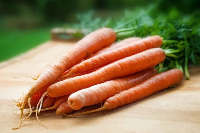 carrot sprouts