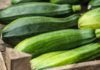 Zucchini vs cucumber
