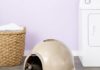 dog proof litter box