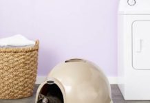 dog proof litter box