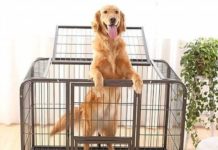 heavy duty crates