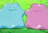 tips to catch a ditto