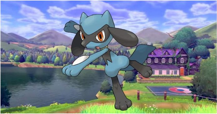 tips to evolve Riolu