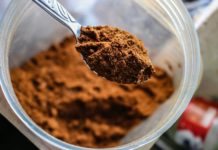 best vegan protein powder