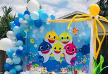 baby shark party ideas